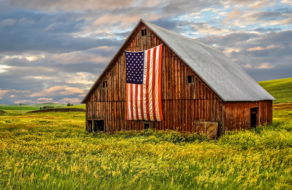 Showing the Colors - Palouse